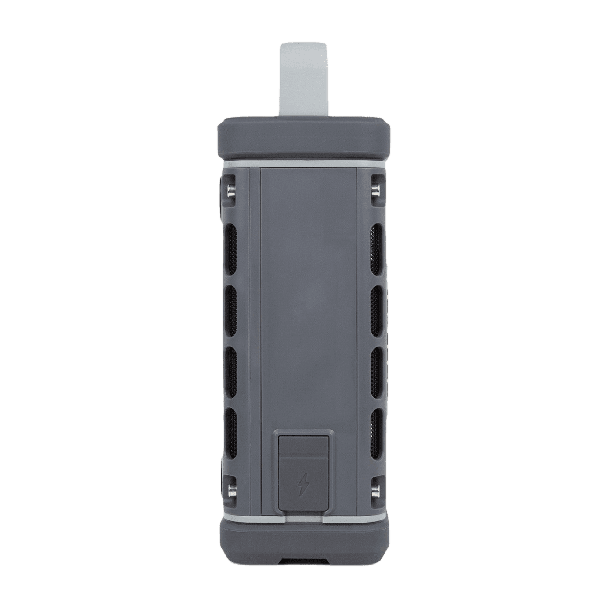 Turtlebox Ranger Speaker - Gray